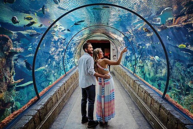 Shark Reef at Mandalay Bay Hotel and Casino - Final Thoughts
