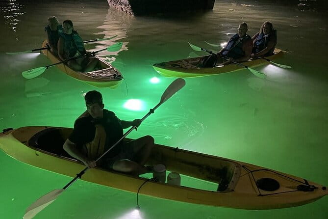 Sharkey's Glass Bottom Fish Feeding LED Night Tour in Clearwater - The Experience’s Strengths: Why Travelers Love It