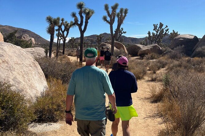 Sightseeing Adventure Tour of Joshua Tree National Park - Banana Cracks Rock: Stunning Boulders and Joshua Trees