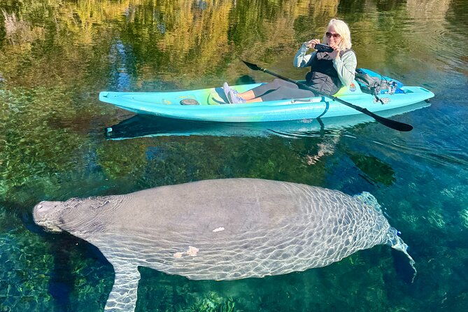 Silver Springs Premium Florida Wildlife Experience! - The Sum Up: Who Is It Best For?
