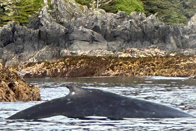 Small Group Boat Tour of Sitka - Why Travelers Rave About This Tour