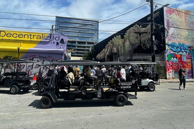 Small-Group Brewery Golf Cart Tour of Wynwood with a Local Guide - Who Should Consider This Tour?