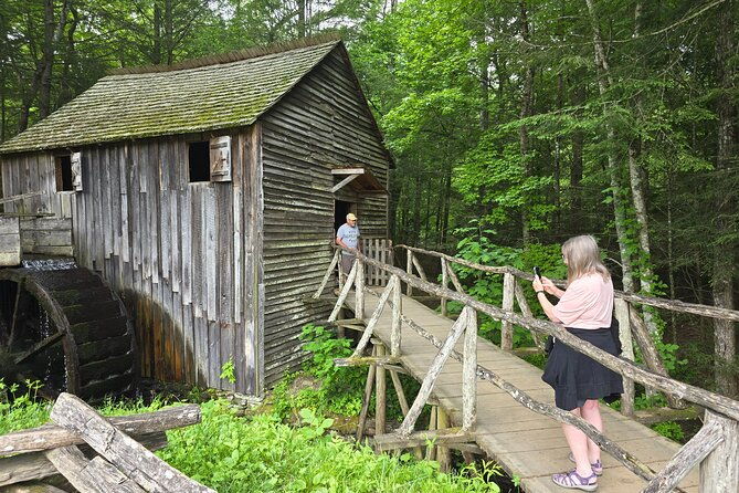 Smoky Mtn Cades Cove, RR/Logging Museum-Foothills Pky Spring Tour - Who Will Love This Tour?