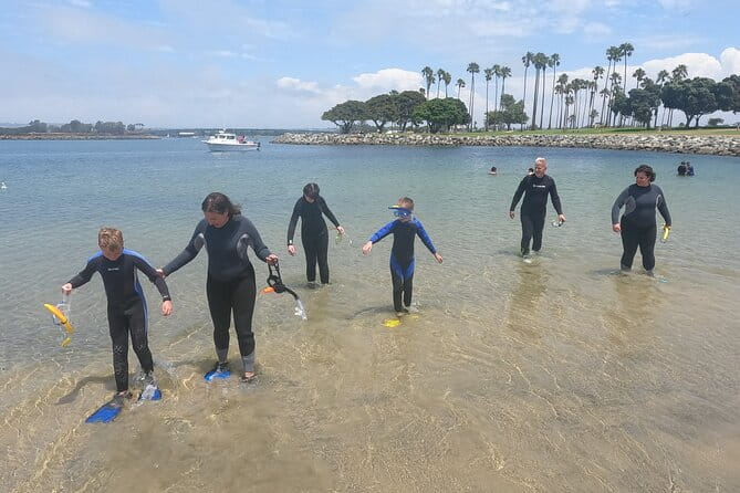Snorkel San Diego's Mission Bay with a Marine Biologist - What Travelers Are Saying