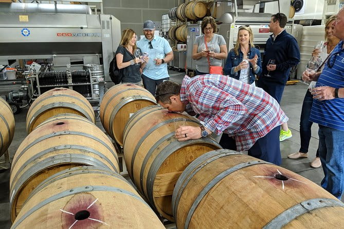 Sonoma Valley Pedal Assist Bike Tour - Who Should Consider This Tour?
