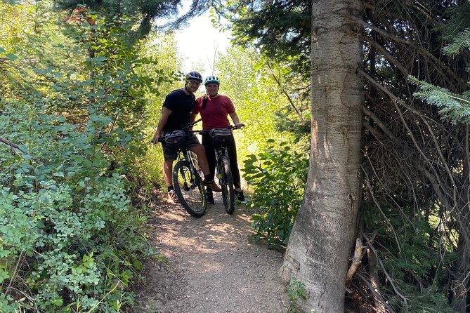 Steamboat Springs Local Ebike Tour - What the Reviews Say