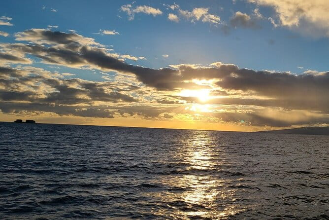 Sunset Dinner Cruise in Honolulu - Introduction: A Relaxing Way to See Honolulu’s Sunset