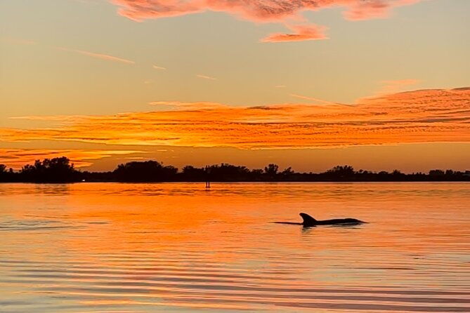 Sunset Kayaking with Dolphins - Final Thoughts: Is It Worth Your Time?