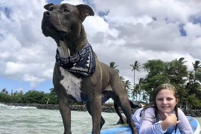 Surf with a Service Animal - Authentic Experiences and Highlighted Moments