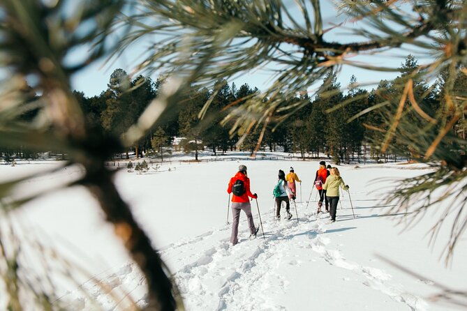 Taos Backcountry Snowshoe Tour - Who Will Love This Tour?