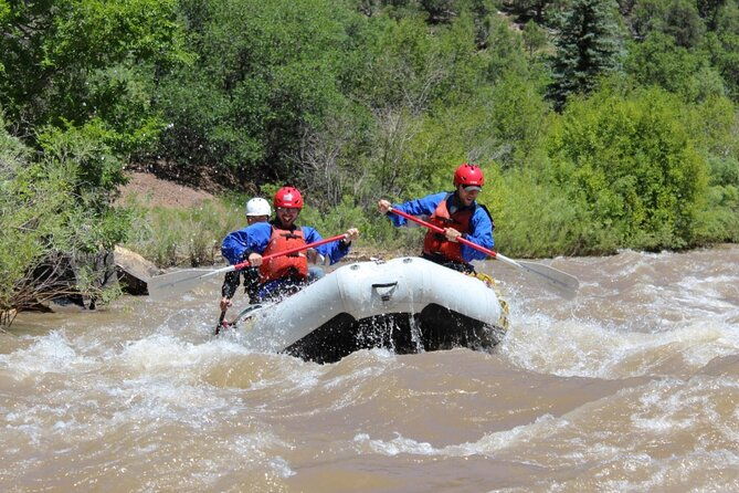 Telluride Afternoon Half Day Rafting Trip - San Miguel River - Final Thoughts