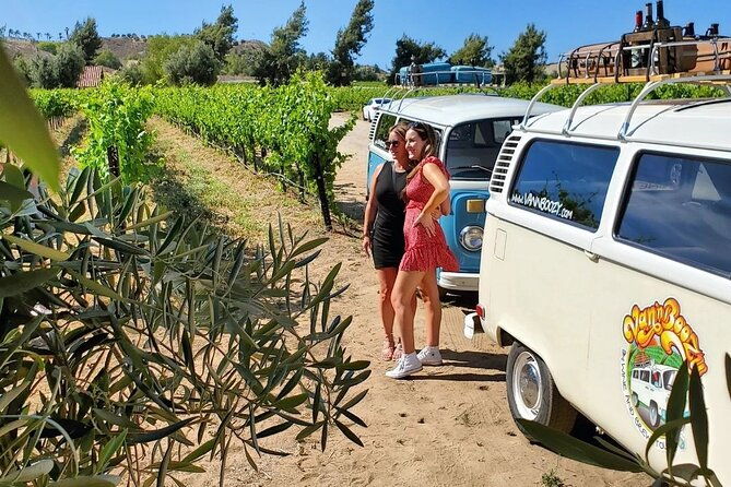 Temecula Wine Tour - The Ultimate California Experience - The Sum Up
