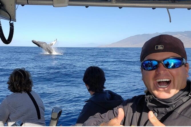 The Best 8 am 1.5 Hour Whale Watching Tour - What the Reviews Say