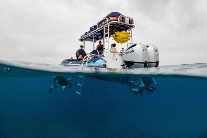 The Best Maui 3 Hour Molokini and Turtle Town Snorkel - The Experience on the Water