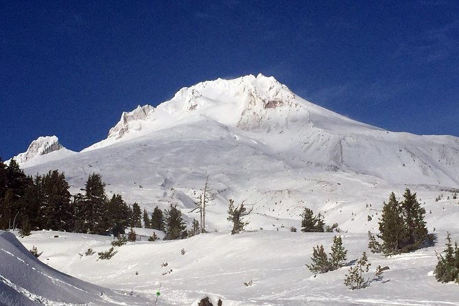 The Hood-Columbia Loop: Timberline, Orchards, and Waterfalls - What the Tour Offers: Value and Practicalities