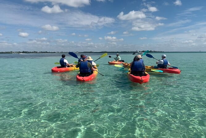 The Island Tour - The Role of Guides and Group Size