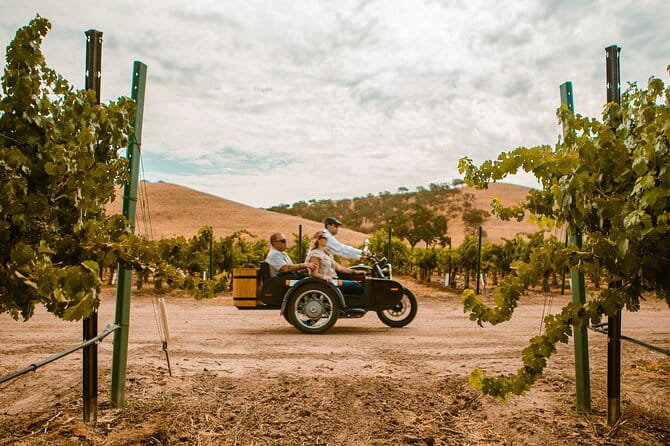 The Luxe Wine Trail Excursion Paso Robles - What Travelers Say