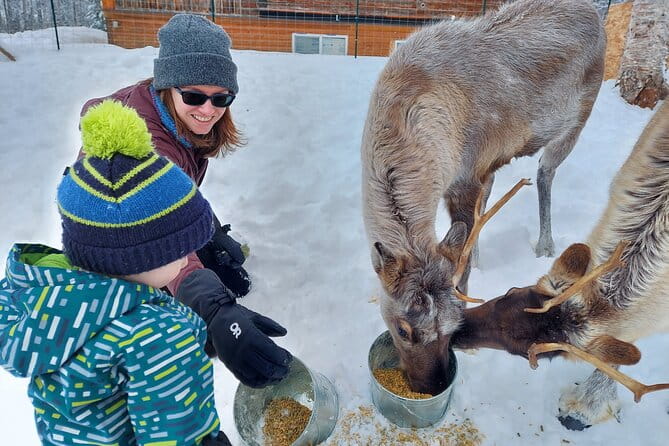 The Reindeer Grove Homestead Tour and Forage - Why This Tour Offers Great Value
