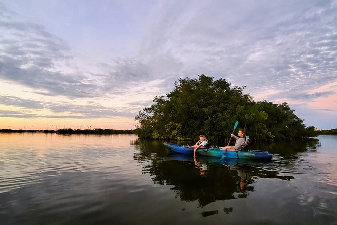 Thousand Islands Mangrove Tunnel Sunset Kayak Tour with Cocoa Kayaking! - The Value and What It Means for You