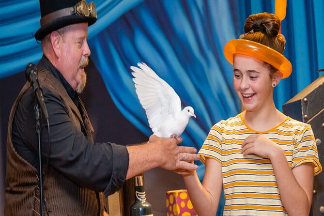 Ticket for Magic Show Theater in Houston - What to Expect During the Show