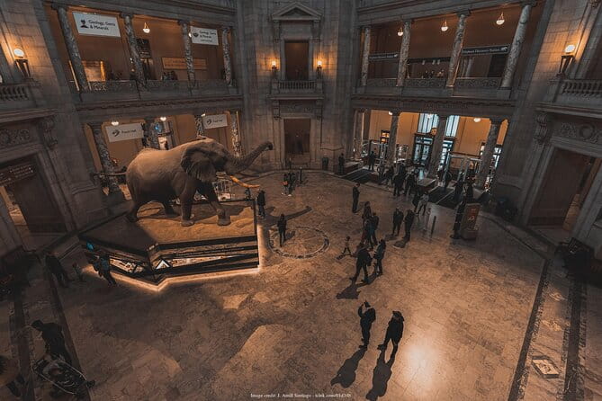 Two Smithsonian Museums Private Tour: American & Natural History - The Sum Up