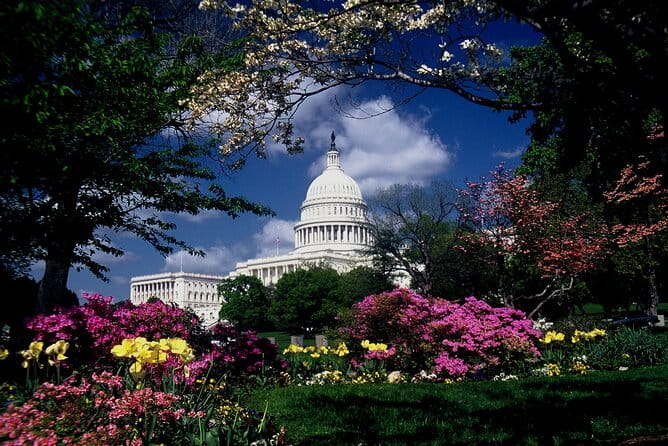 US Capitol & Library of Congress with Guided Walk of Capitol Hill - Who Should Book This Tour?