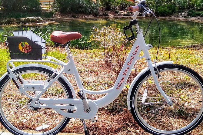 Village Bicycle Rental Free Delivery in The Villages Florida - The Experience: What to Expect