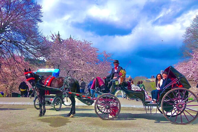 VIP Central Park Experience Tour with photos 50min~Skip the line - Who Will Love This Tour?