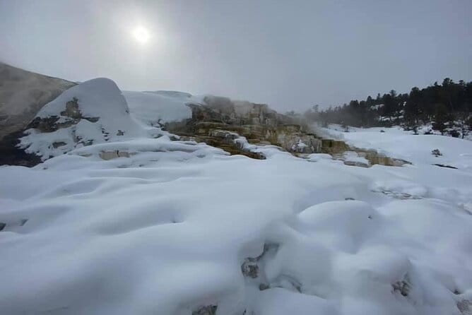 VIP Private North Yellowstone National Park Winter Excursion - FAQ