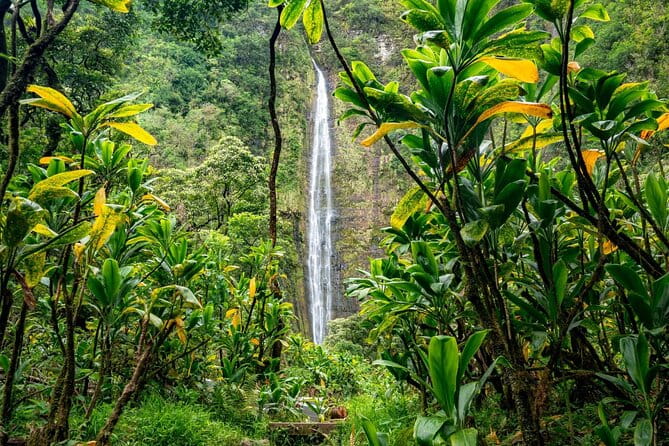 VIP Private Road to Hana and Haleakala Sunset Tour - The Price & Value