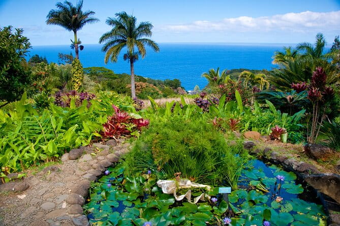 VIP Private Road to Hana Tour in Cadillac Escalade with Pickup - What Sets This Tour Apart?