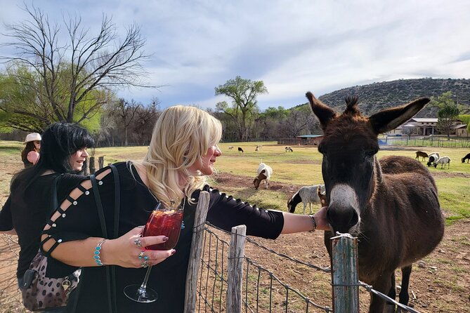 Voted Best in Sedona-Cheapest Private Wine Tour in town! - Wrapping It Up: Who Should Consider This Tour?