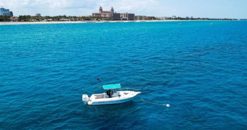 West Palm Beach: Private Peanut Island Boat & Snorkel Tour - The Authentic Experience: What Travelers Say