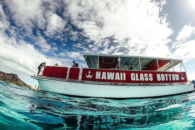 Whale Watch, Dolphins, Turtles and Sightseeing Cruise - Final Thoughts on the Experience