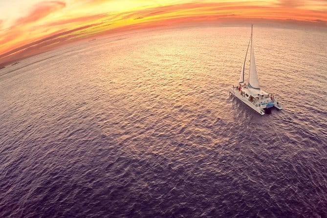 Whalewatch Sail Deluxe Tour from Ma'aleae - What Travelers Are Saying