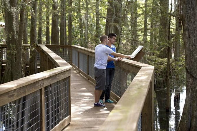 Wild Florida Adventure Package Tour with Transportation - Authentic Experiences and Traveler Feedback