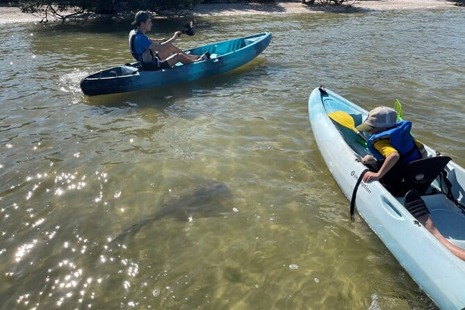 Wildlife Refuge Sunset Dolphin, Manatee & Mangrove Kayak or Paddleboarding Tour! - Who Will Love This Tour?