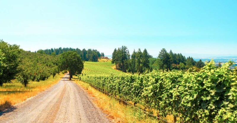 Willamette Valley Wine Tour - Summary: Is the Willamette Valley Wine Tour Worth It?