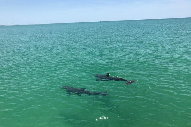 Yacht Charter Madeira beach and Tampa Bay - The Itinerary: What to Expect