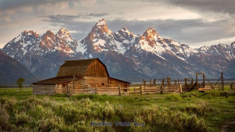 Yellowstone & Grand Tetons: 4-Day/3-Night Wildlife Adventure - Who Will Love This Tour?