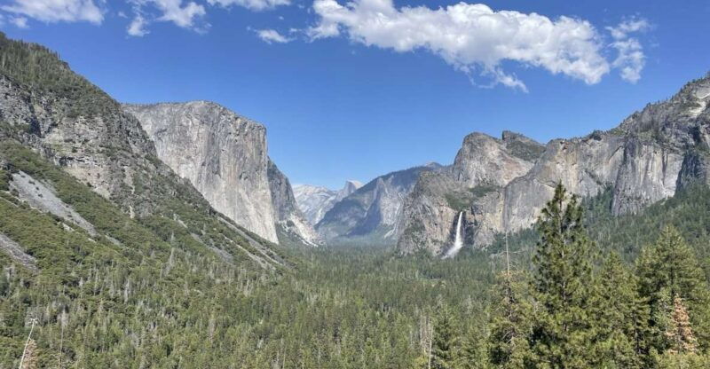 Yosemite, Giant Sequoias, Private Tour from San Francisco - A Closer Look at the Itinerary and Highlights