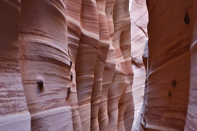 Zebra Slot Canyon Hiking Tour in Escalante - The Itinerary in Detail