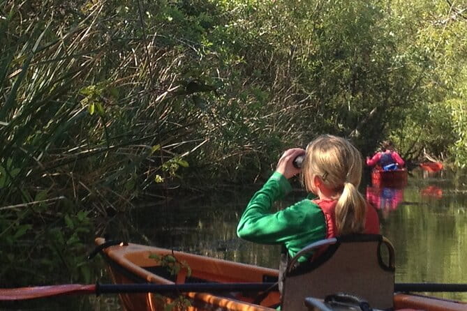 2Hour Everglades Kayak Safari Adventure Through Mangrove Tunnels - Exploring the 2-Hour Everglades Kayak Safari Through Mangrove Tunnels