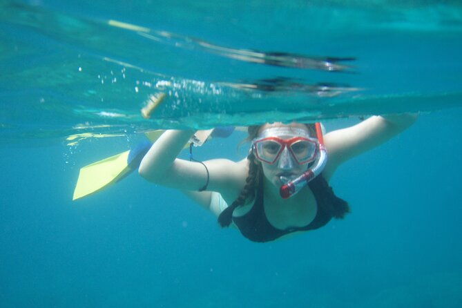 3 Hour Cruise & Swimming Excursion off Peanut Island Park - The Realities of the Experience