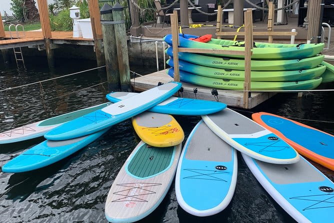 1.5 Hour Paddle Board Rental with Instruction - A Day on the Water: What to Expect