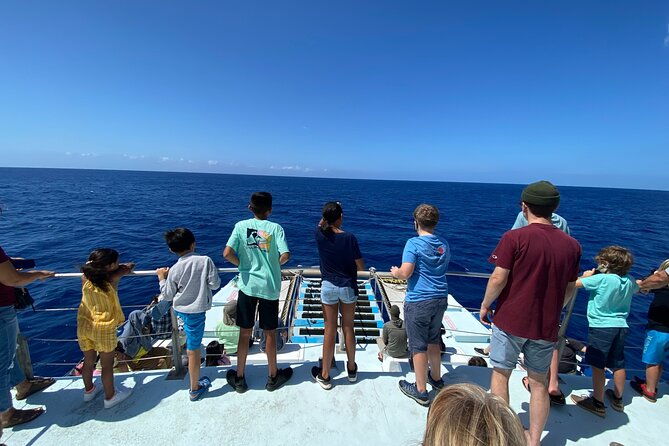 1.5 Hour Whale Watching Cruise With Transportation - The Practical Details: Transport, Duration, and Group Size
