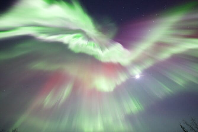 1 Day Shared Tour Arctic Circle and Aurora Viewing in Alaska - Authentic Insights from Past Travelers