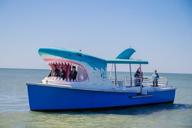 1-hour Dolphin Sightseeing Adventure Cruise from Madeira Beach - A Detailed Look at the Tour Itinerary