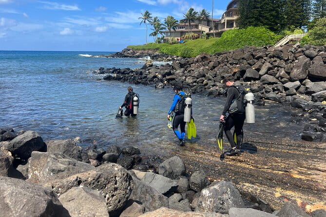 1 Tank Discover Scuba at Koloa Landing with No Experience needed - Who Should Consider This Tour