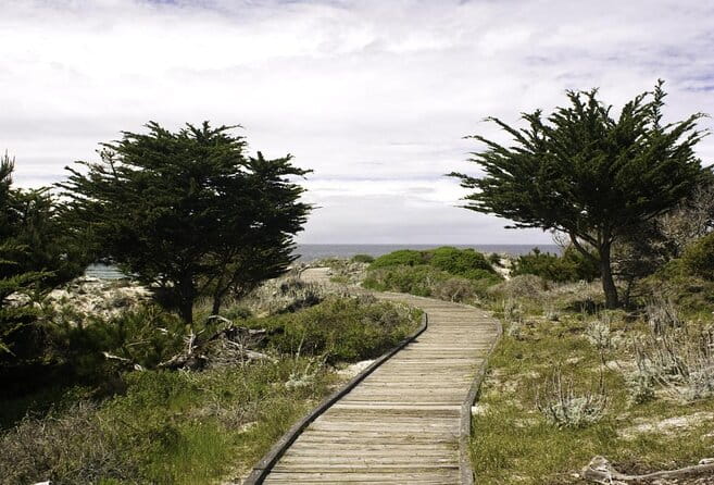 17-Mile Drive Self-Guided Audio Tour from Monterey & Carmel - Authentic Feedback from Travelers